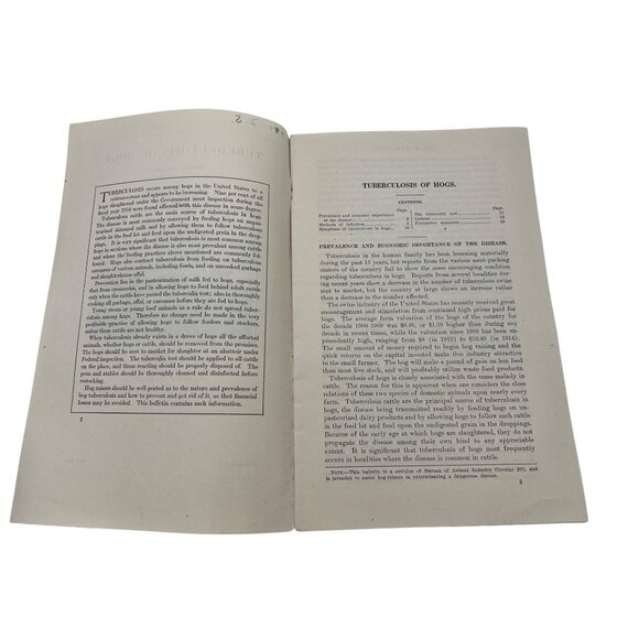 1917 Tuberculosis Of Hogs Farmers Bulletin 781 Antique USDA Publication - Picture 2 of 4